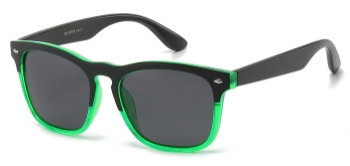 420008 Polarized Retro