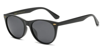 422731 Polarized CHARM