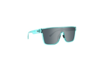 459311 Polarized Howl